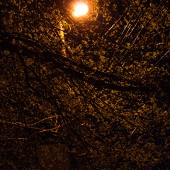 Автостопом по фазе сна, Cryshore - Канет в низ (Speed up)