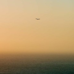 Lofi / Hip Hop / Jazz sample projects Part 1
