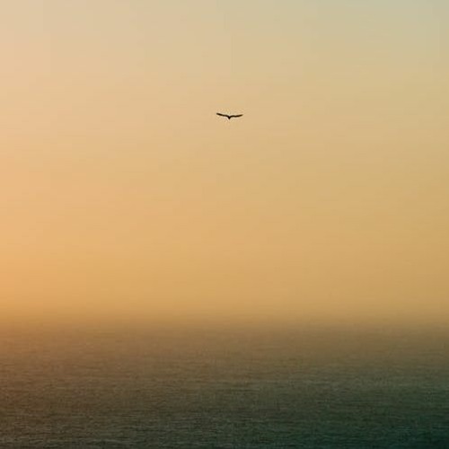Lofi / Hip Hop / Jazz sample projects Part 1