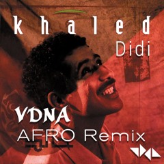 Khaled - Didi (VDNA Afro House Remix)