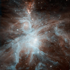 Paddington's Revenge