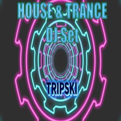 House to Trance DVS DJ Set - Toolroom, Defected, Anjuna, Enhanced