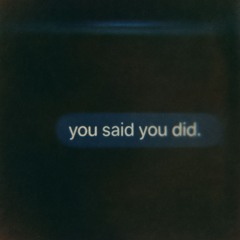 YOU SAID YOU DID (DEMO)