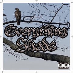 Everything Sheds PILOT: No Introductions Trust the Process & Fly