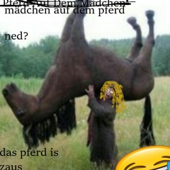 Mädchen Auf Dem Pferd (Remix)