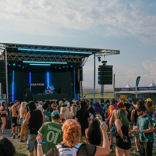 Megatron @ Bass Canyon (WRG Local Stage)