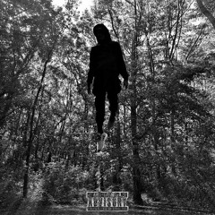 HaHa (ft. Sleepxver, Josh The Human)