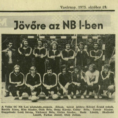 Kővári Árpád: Az egész meccs egy hatalmas birkózás volt