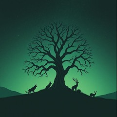 Creation Of Wonders (Extended)