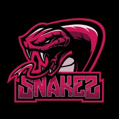NST- Sài Gòn Đẹp Lắm- TamSnake