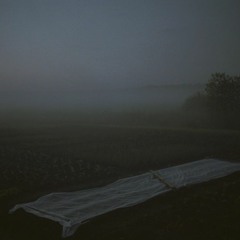 01. In The Heather Thicket [THREE NOVELETTES]