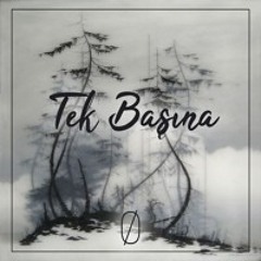 Tek Başına (ft. Sevil)