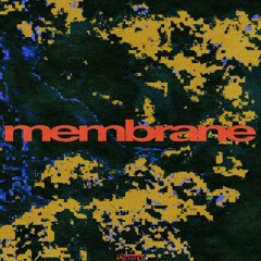 membrane