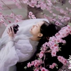 TỘI NGHIỆP LẮM EM - VOCAL NTBN - NAMPH RMX