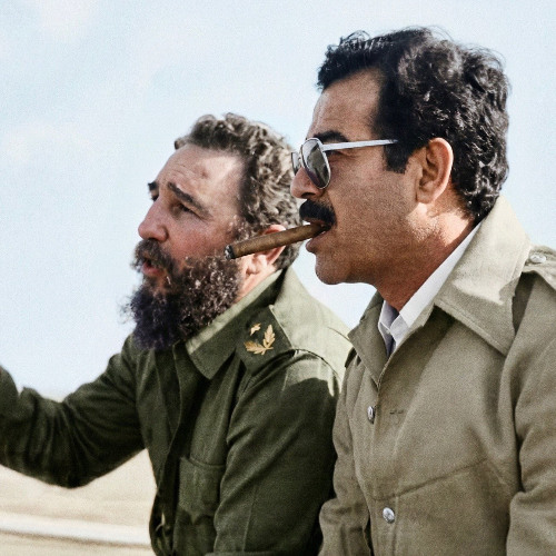 all terian demo (prod typhelicia)