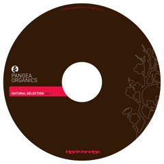 Pangea Organics : Natural Selection