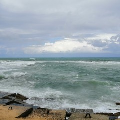 سهيله سمير يا بحر الهوا - سعاد حسني only vocal cover