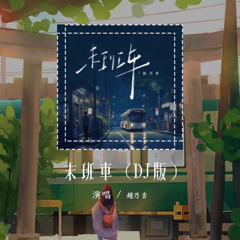 赵乃吉 - 末班车 (DJ版)「别说话泪水你别带走 镜子里的我已留下你」【動態歌詞/pīn yīn gē cí】#赵乃吉 #末班车 #動態歌詞
