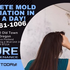 Mold Removal Old Town Portland Oregon - Pure Maintenance Portland - 503-461-1006