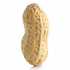 Tabula Rasa [unmastered]