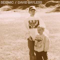 Seismic