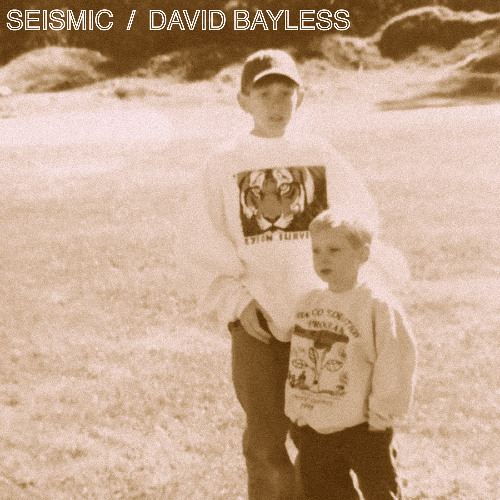 Seismic