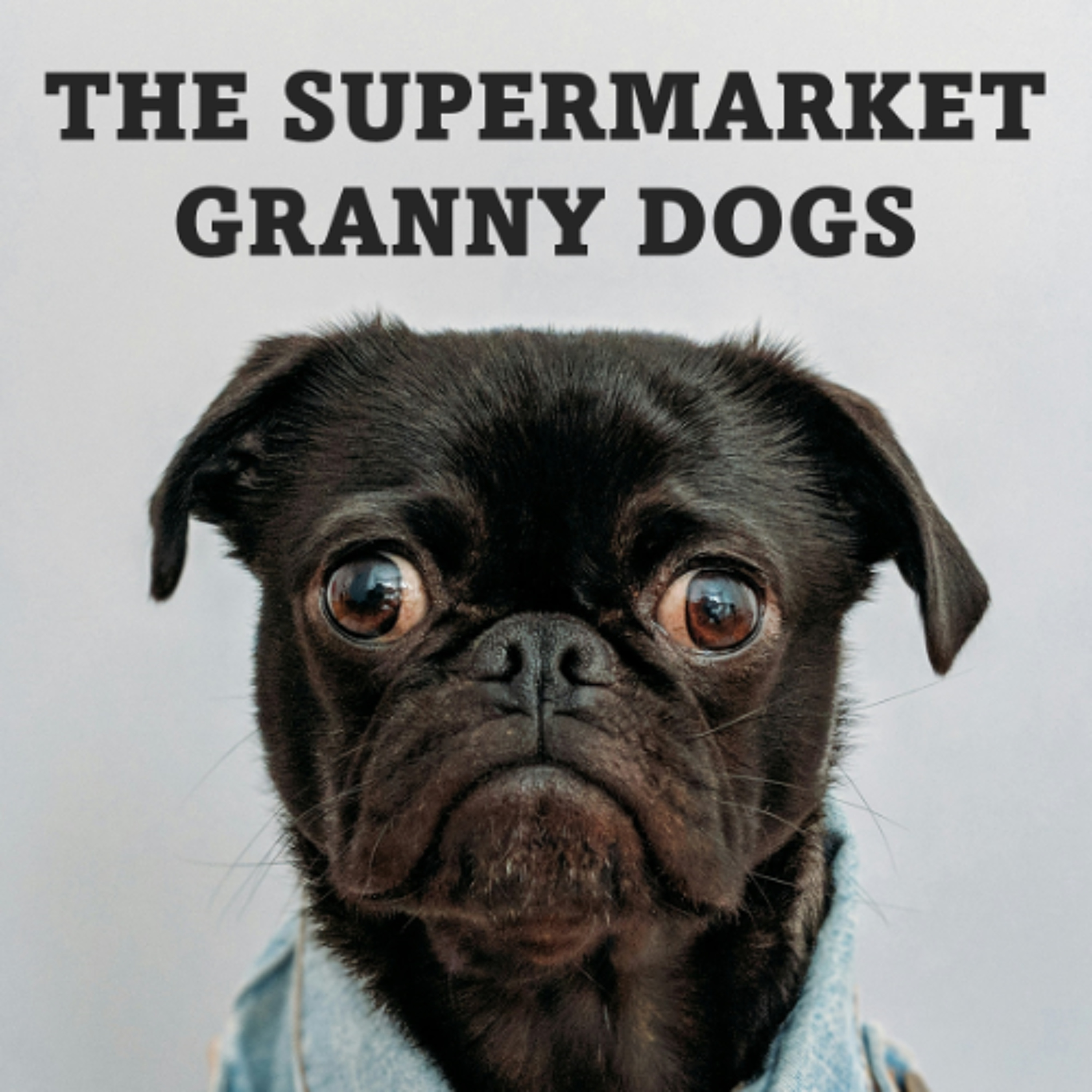 The Supermarket Granny Dogs - Sophie, Abhijot and Yo-Yi - St Patrick's School episode artwork