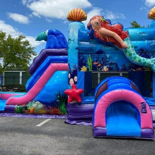 Stream episode Water Slide Rentals Houston TX Martibirds Waterslides