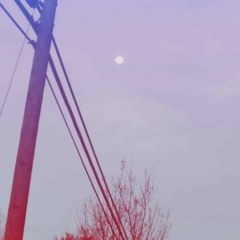 We Cannot Say Goodbye