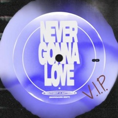 NEVER GONNA LOVE VIP (FREE)