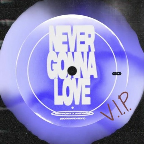 NEVER GONNA LOVE VIP (FREE)