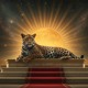 on Bari Inu - Sun Jaguar
