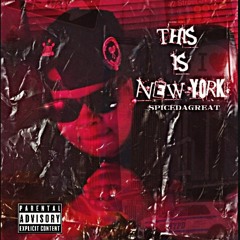 THIS IS NEW YORK  SCARLIP