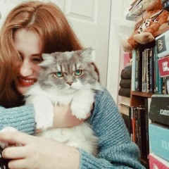 something in the way cover