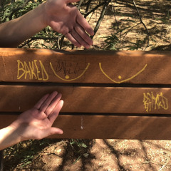 BAKED 8