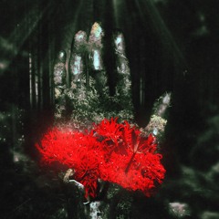 LED (при уч. MEX)