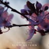 Slow Autumn