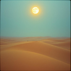 Beneath the Hollow Moon