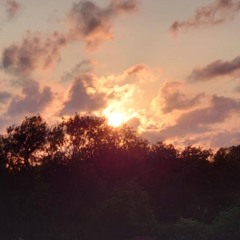 JESAIAS  9 9 9 M M X X