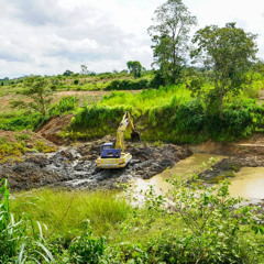 Building Resilience: Viet Nam's Path to Recovery and Readiness