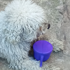 trust issues  (lyrics in description) (prod. by Taigen x Jkei)