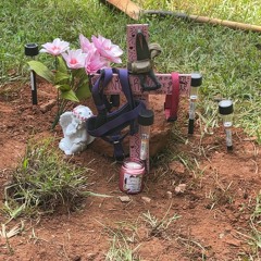 🕊️LongLiveGinger️🕊️