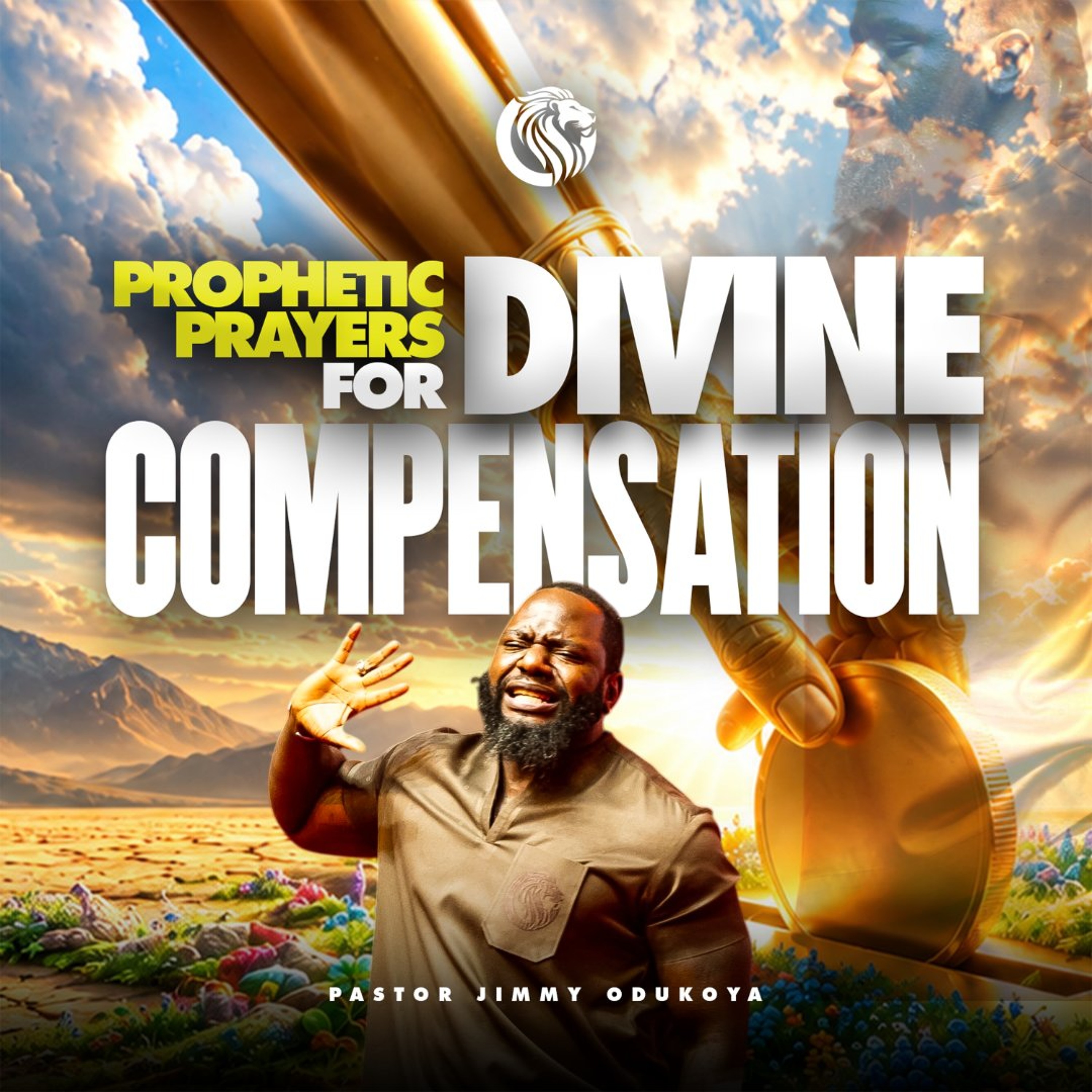 Arise and Shine: Prophetic Prayers for Divine Compensation