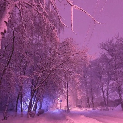 ֶָ֢Ｓ Ｅ Ｒ Ｍ Ｅ Ｎ Ｔ Ｅ Ｒ Ｙ✧˖°.≈