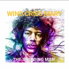 The Wind Cries Mary - Jimi Hendrix cover