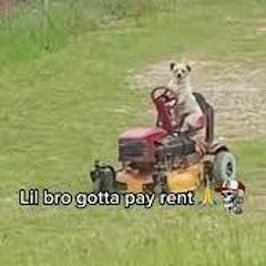 CursedLawnMower - AC S3 E14 (Late Submission)