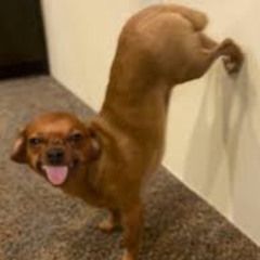 LOVE ME ANTWIGADEE! BOUNCE REMIX