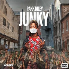 "JUNKY" (Official Audio)