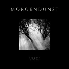 SYN Premiere: dxrvo - Vernebelung [DX003]
