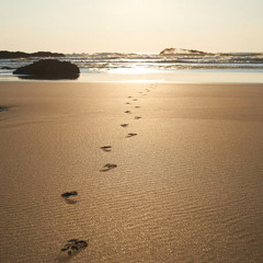 Gone Without Trace